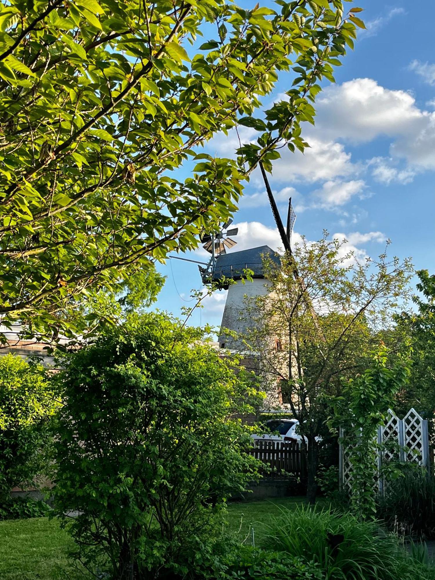 Ferienhaus Windmuehlenweg Mit Grossem Sonnigen Garten -Neu- Spenge 外观 照片