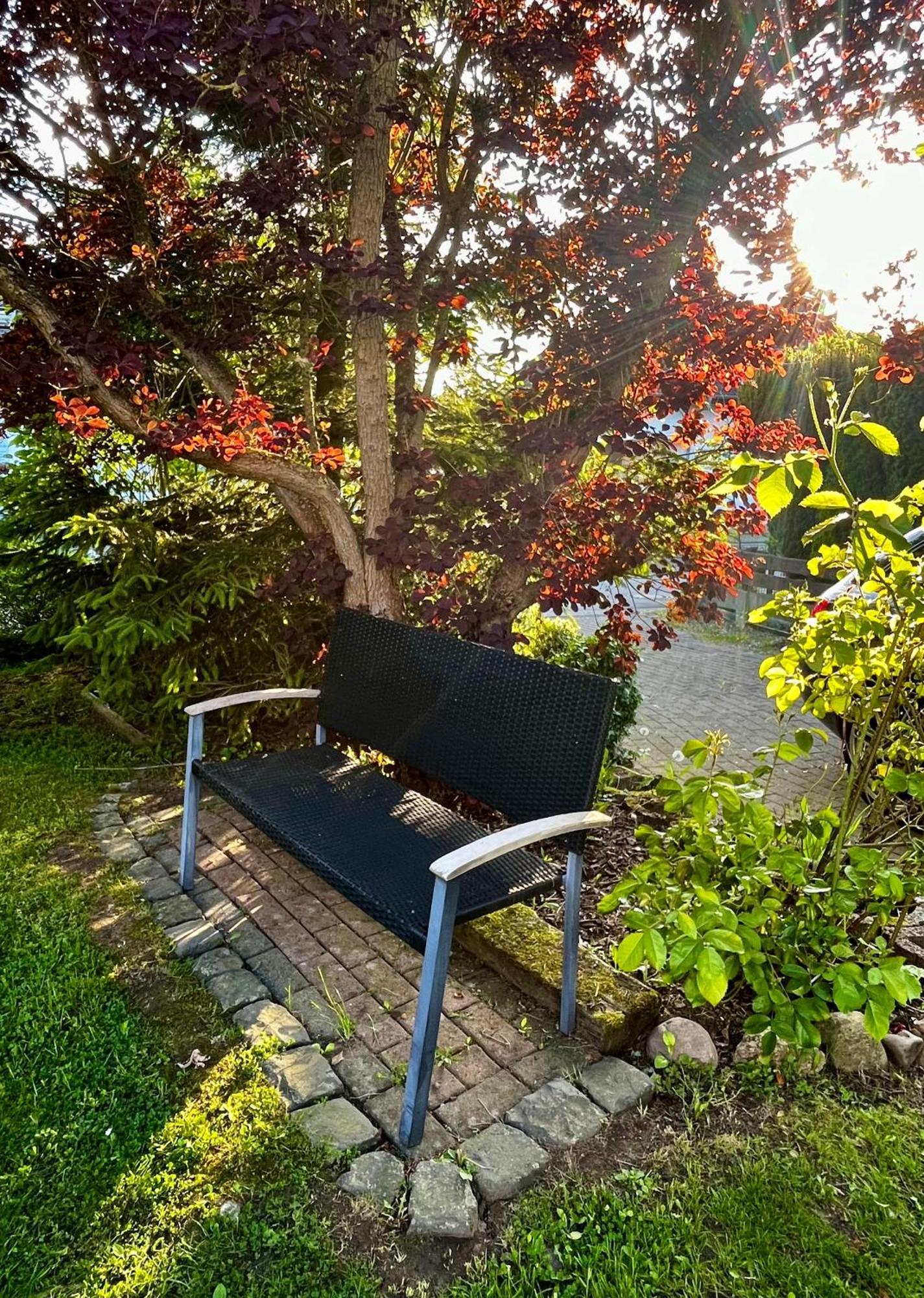 Ferienhaus Windmuehlenweg Mit Grossem Sonnigen Garten -Neu- Spenge 外观 照片